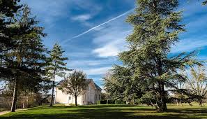 vue de la Villa Bloch à Poitiers 86